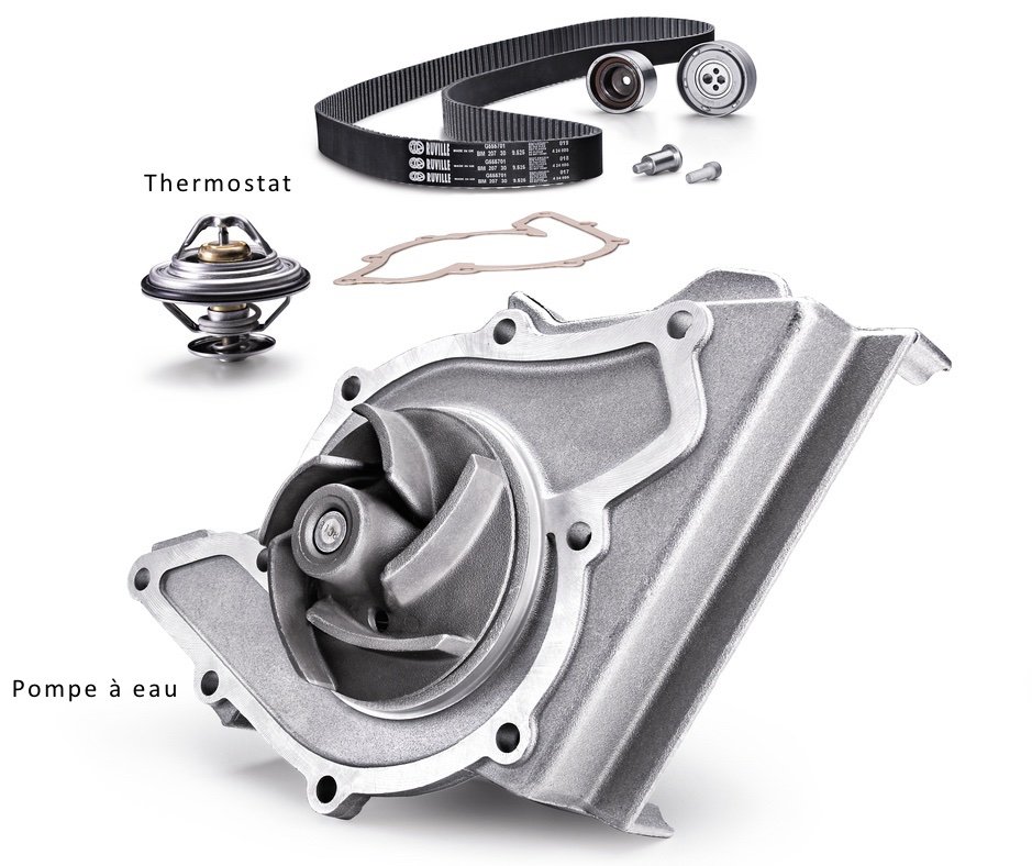 Thermostat - Pompe à eau - Schaeffler