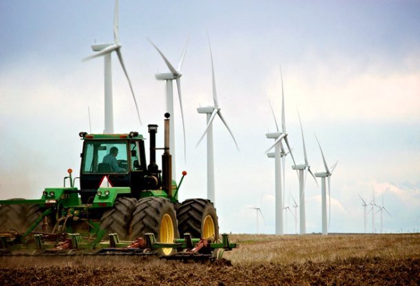 éoliennes dans un champs
