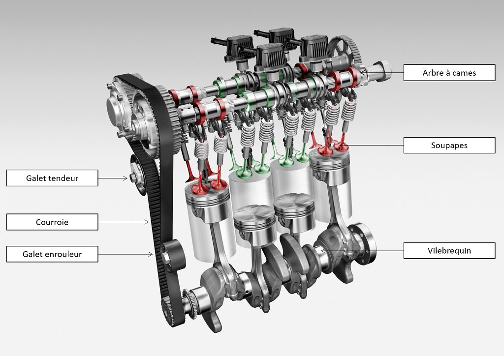 Composants distribution moteur à courroie - Audi