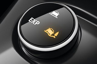 Renault Extended Grip